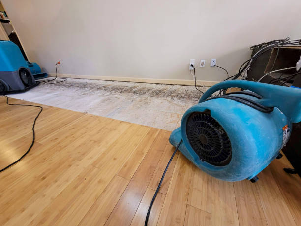 Professional Water Damage Repair technician working in Scranton, SC